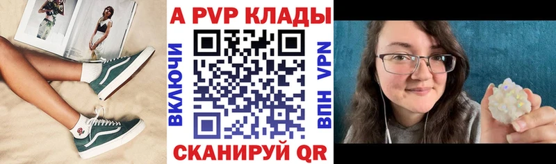 купить сайты Каргополь APVP Соль