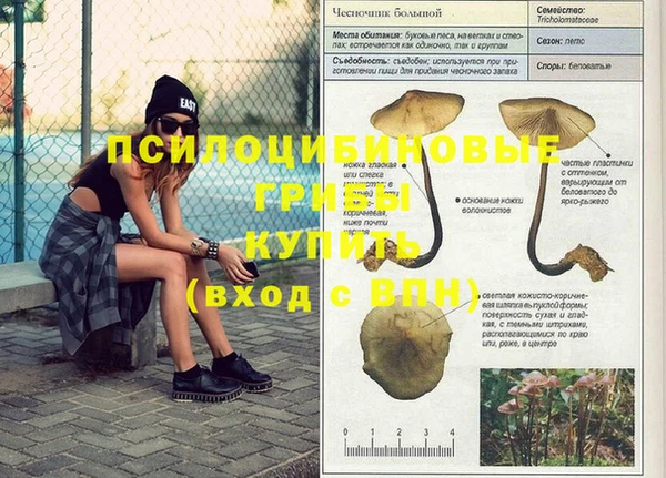 прущий лед Иннополис