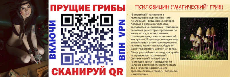 Псилоцибиновые грибы мухоморы  Каргополь 